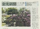 金光新聞（3/27号）